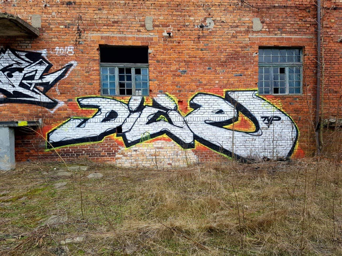 Graffiti Wall in Ustal miejsce - Photo by Naskinach - dicie, dicit, tvp