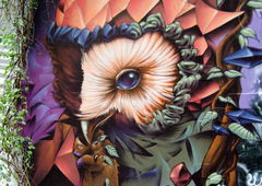 Graffiti Wall - Photo by Nazca