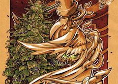 Graffiti Sketch - Photo by Nazca - weed, cannabis, needlecap (2016)