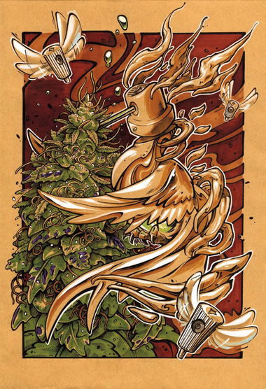 Graffiti Sketch - Photo by Nazca - weed, cannabis, needlecap (2016)