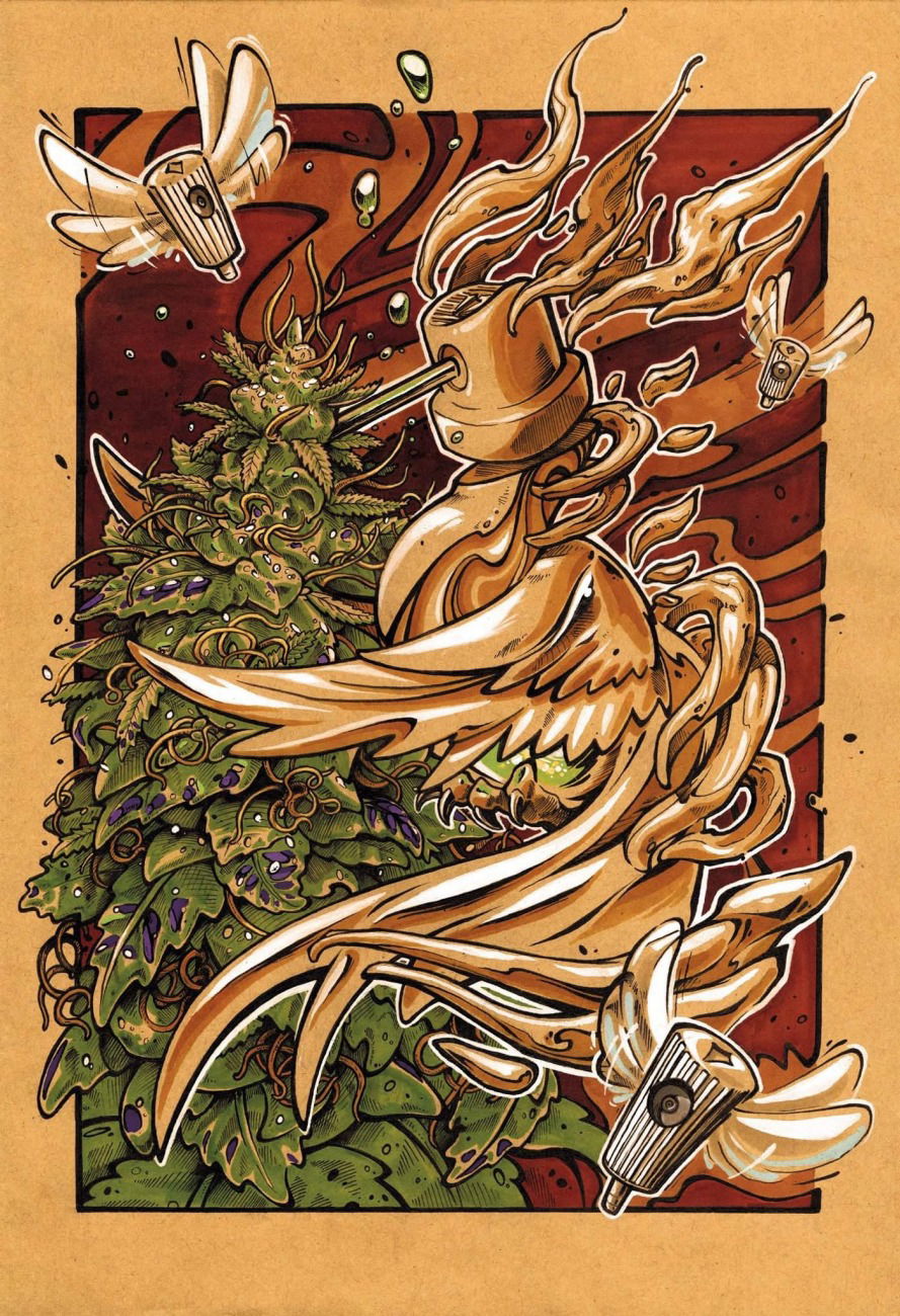 Graffiti Sketch - Photo by Nazca - weed, cannabis, needlecap (2016)