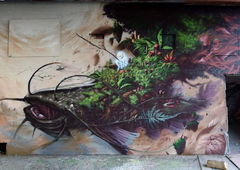 Graffiti Wall - Photo by Nazca