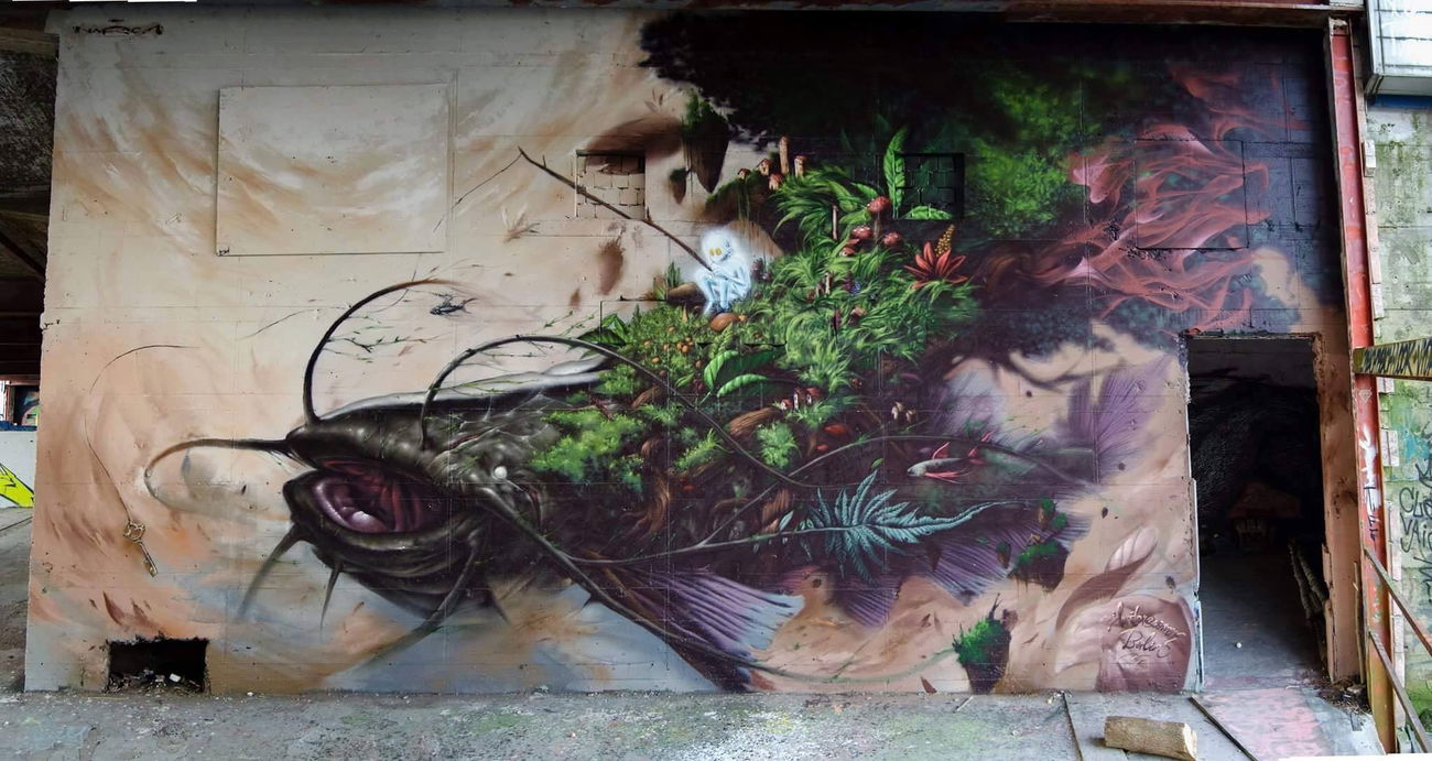 Graffiti Wall - Photo by Nazca