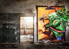 Graffiti Wall - Photo by Nazca