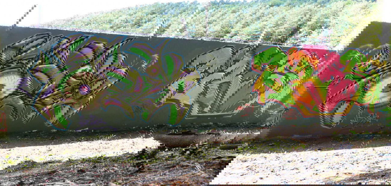 Graffiti Wall - Photo by NeToXiK126 - toxik, eras, 126 (2014)