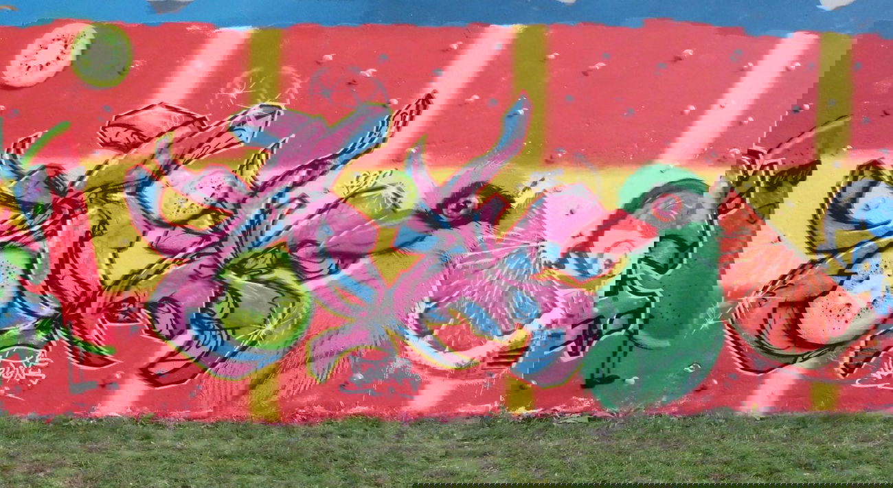 Graffiti Wall - Photo by NeToXiK126 - toxik, 126, hf (2014)