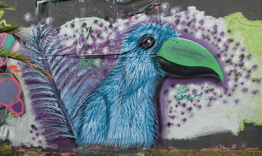 Graffiti Wall - Photo by NeToXiK126 - toxik, birds, 126 (2014)