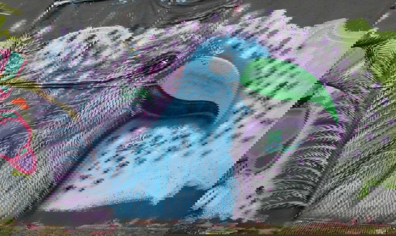 Graffiti Wall - Photo by NeToXiK126 - toxik, birds, 126 (2014)