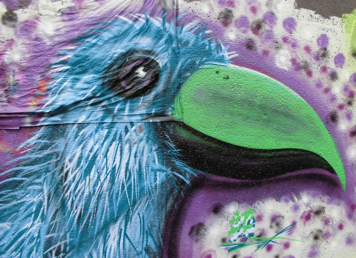 Graffiti Wall - Photo by NeToXiK126 - netoxik, 126, hfc (2014)