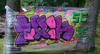 Graffiti Artwork - Photo by NeToXiK126 - toxik, sc, 126 (2014)