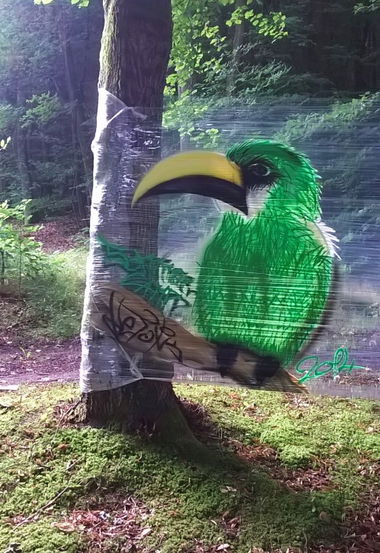 Graffiti Wall - Photo by NeToXiK126 - netoxik, 126, hf (2014)