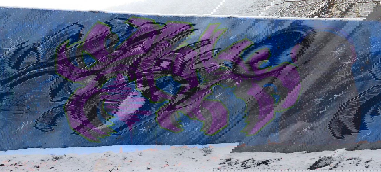 Graffiti Wall in Saarpfalz-Kreis - Photo by NeToXiK126 - toxik, 126, hf (2015)