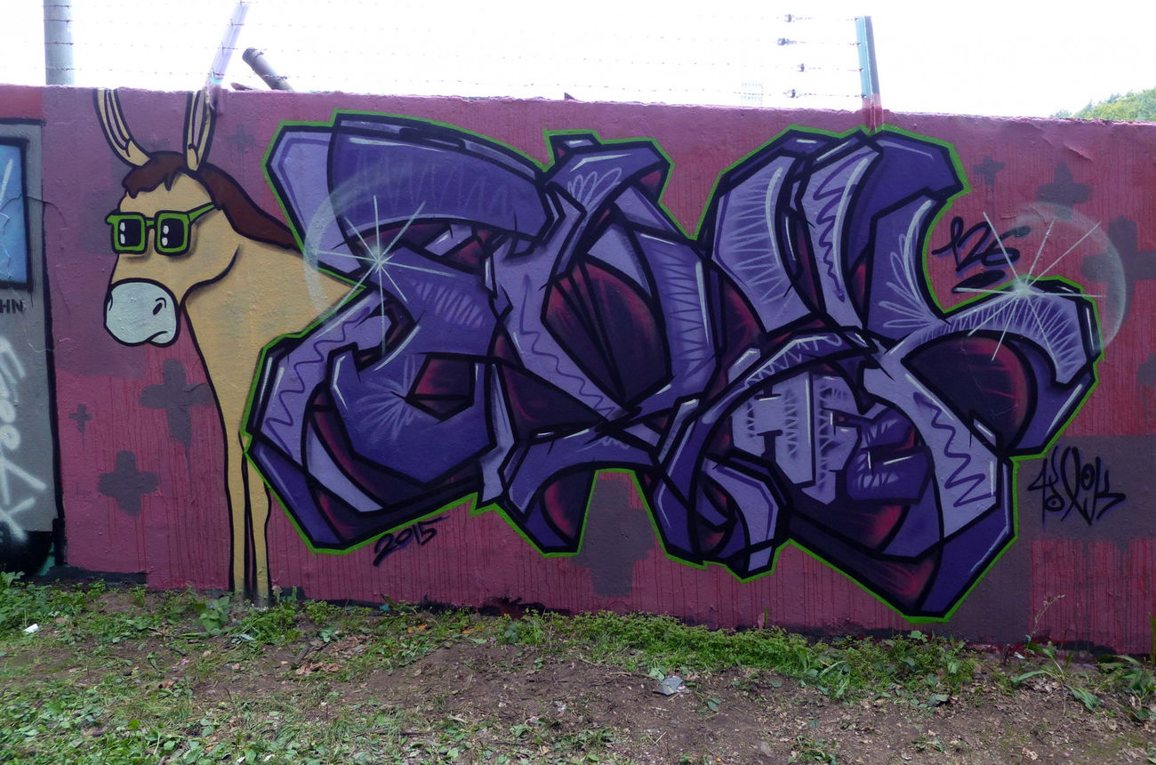 Graffiti Wall - Photo by NeToXiK126 - toxik, hfc, 126 (2015)