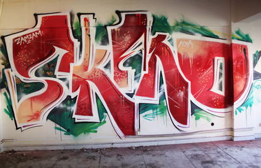 Graffiti Wall in Timi?oara - Photo by Neks - sken, skan, neks (2014)