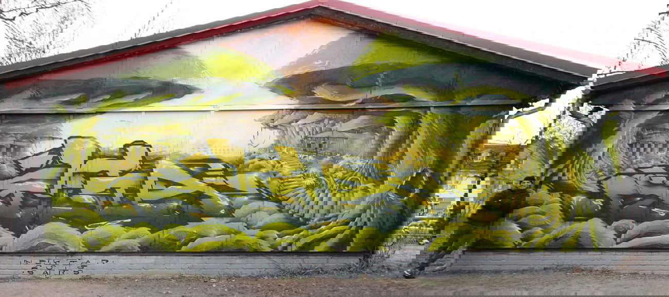 Graffiti Wall - Photo by NektariumC - nekta, green, big (2015)