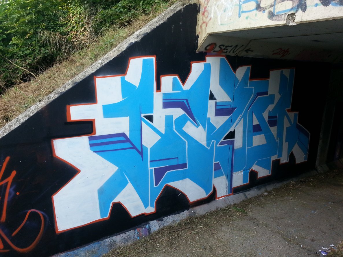 Graffiti Bombing - Photo by Neman532 (2014)