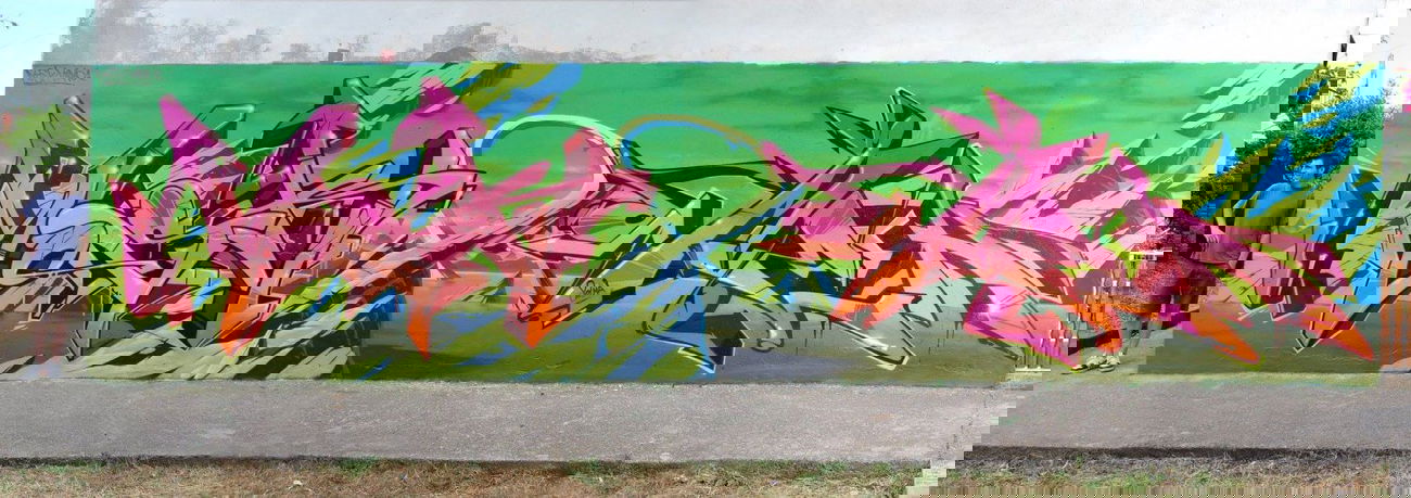 Graffiti Wall - Photo by Nemo1 - nemo, mosk (2014)