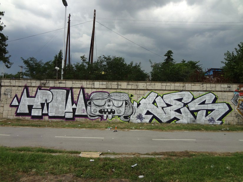 Graffiti Wall in Skopje - Photo by Nesone45 - Hrom.Ruki.Nes (2013)