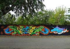 Photo #31533 by Belt