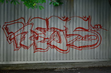Graffiti Bombing - Photo by Nets1 (2013)