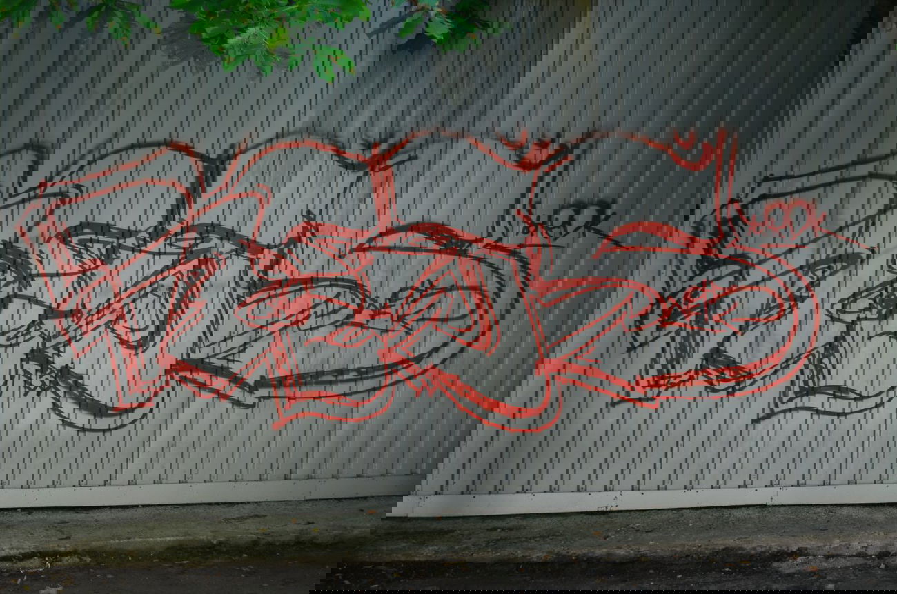 Graffiti Bombing - Photo by Nets1 (2013)