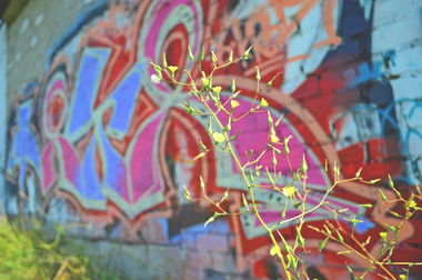 Graffiti Wall - Photo by Nets1 (2014)