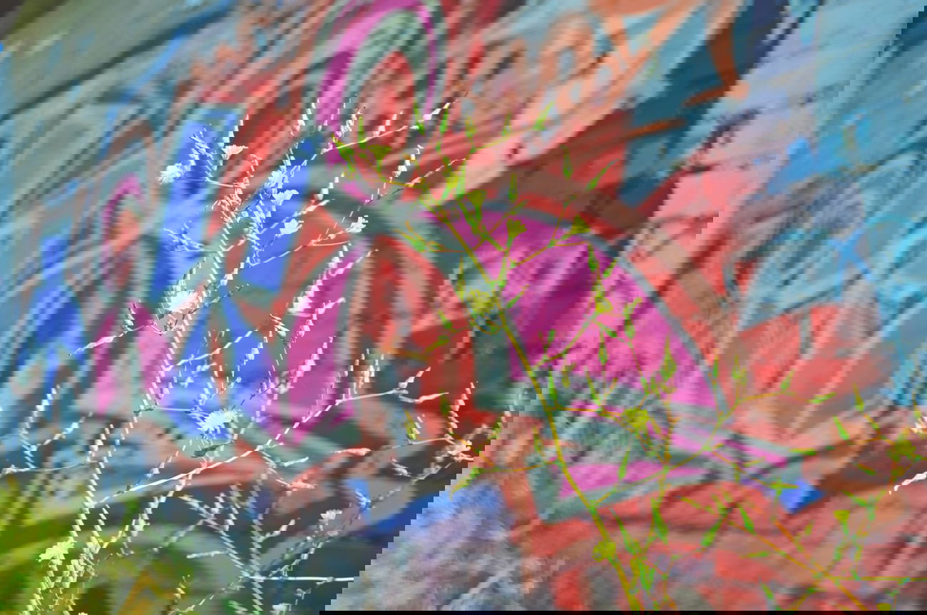 Graffiti Wall - Photo by Nets1 (2014)