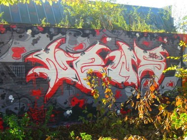 Graffiti Wall - Photo by Newsu