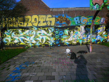 Graffiti Wall - Photo by Newsu