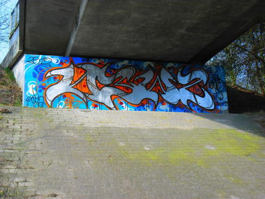 Graffiti Bombing - Photo by Newsu