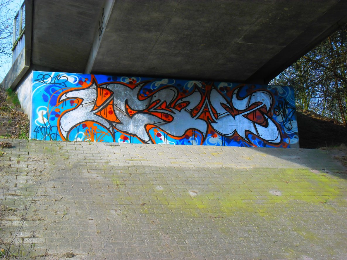 Graffiti Bombing - Photo by Newsu
