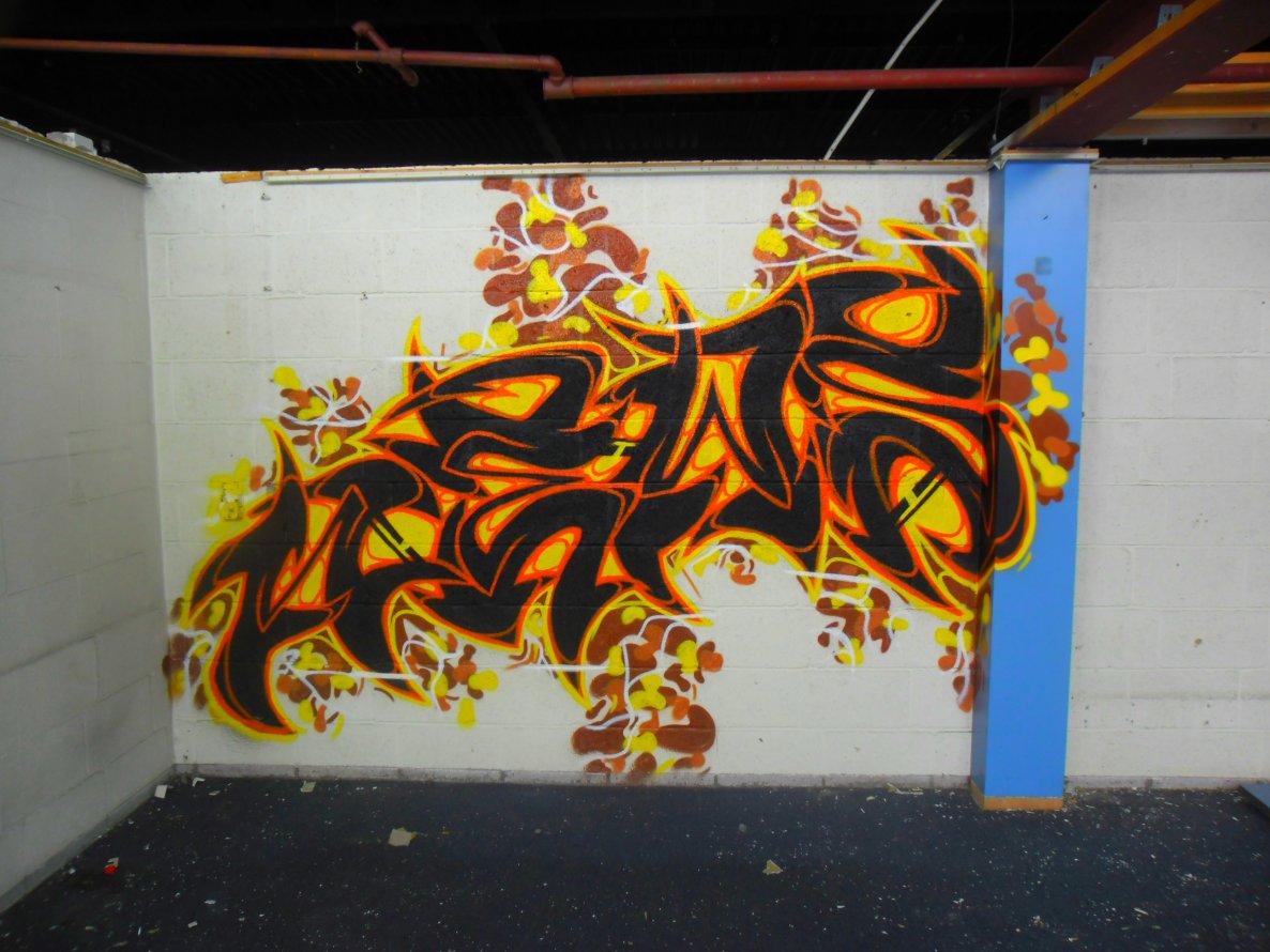 Graffiti Wall - Photo by Newsu