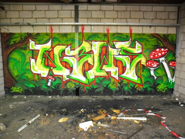 Graffiti Wall - Photo by Newsu