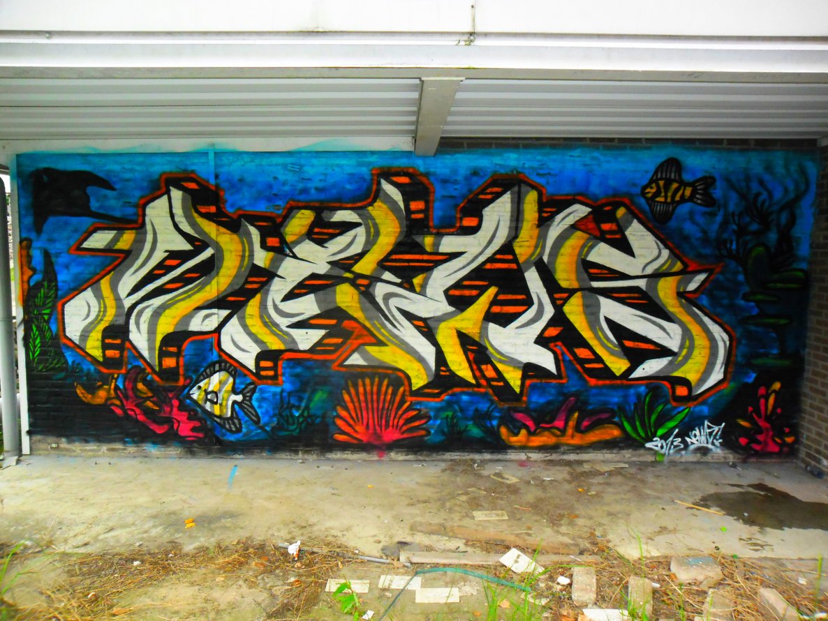 Graffiti Wall - Photo by Newsu