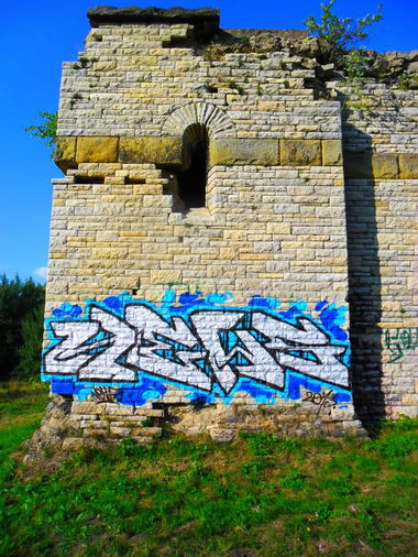 Graffiti Bombing - Photo by Newsu