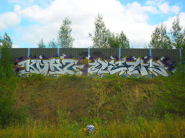 Graffiti Bombing - Photo by Newsu