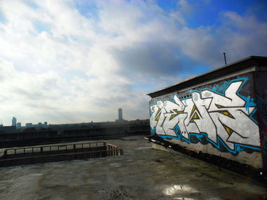 Graffiti Bombing - Photo by Newsu