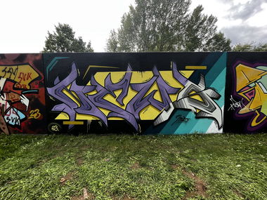 Graffiti Wall - Photo by Newsu