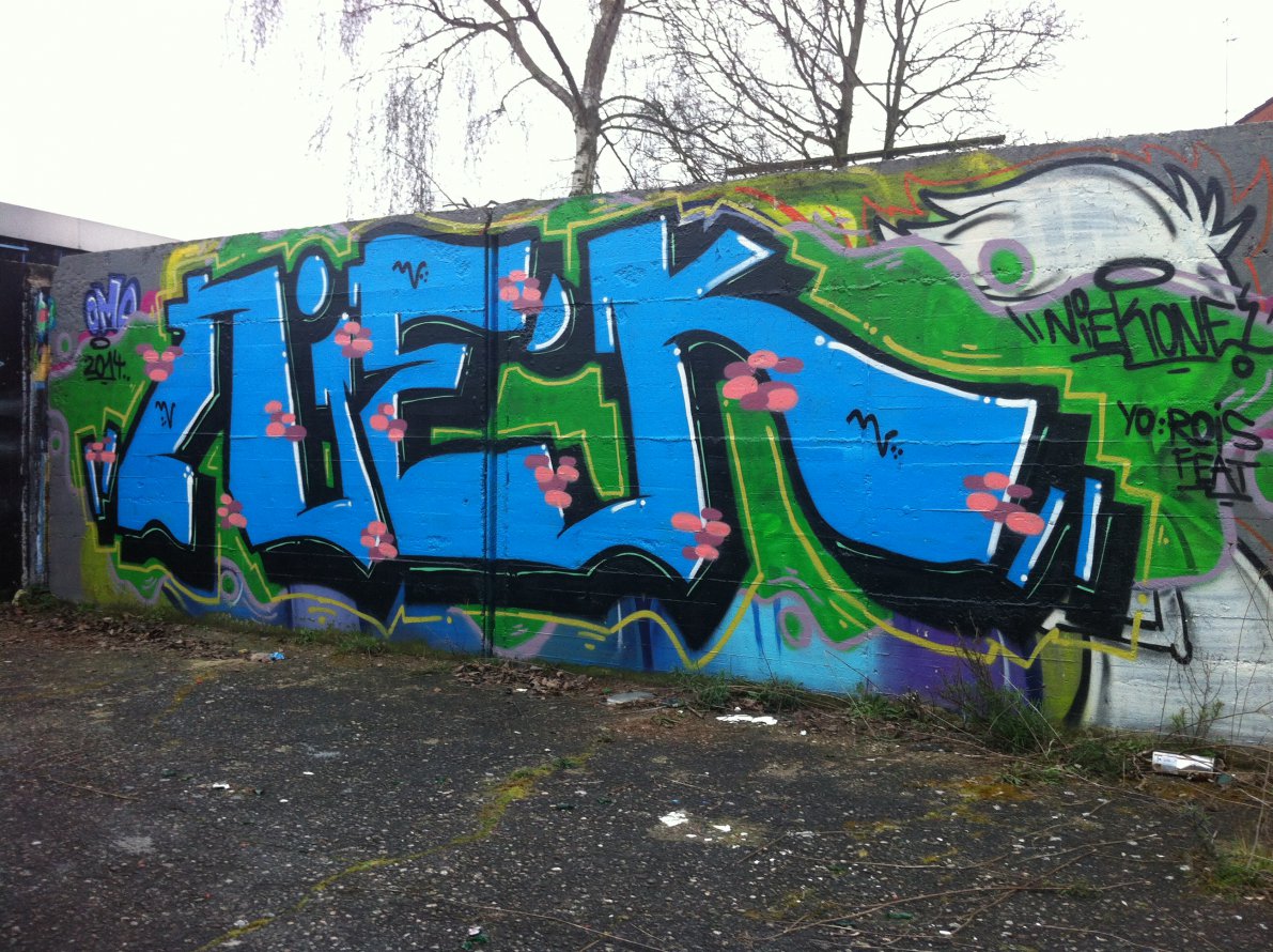 Graffiti Wall - Photo by NiekOne - Niek, Hall, Rois (2014)
