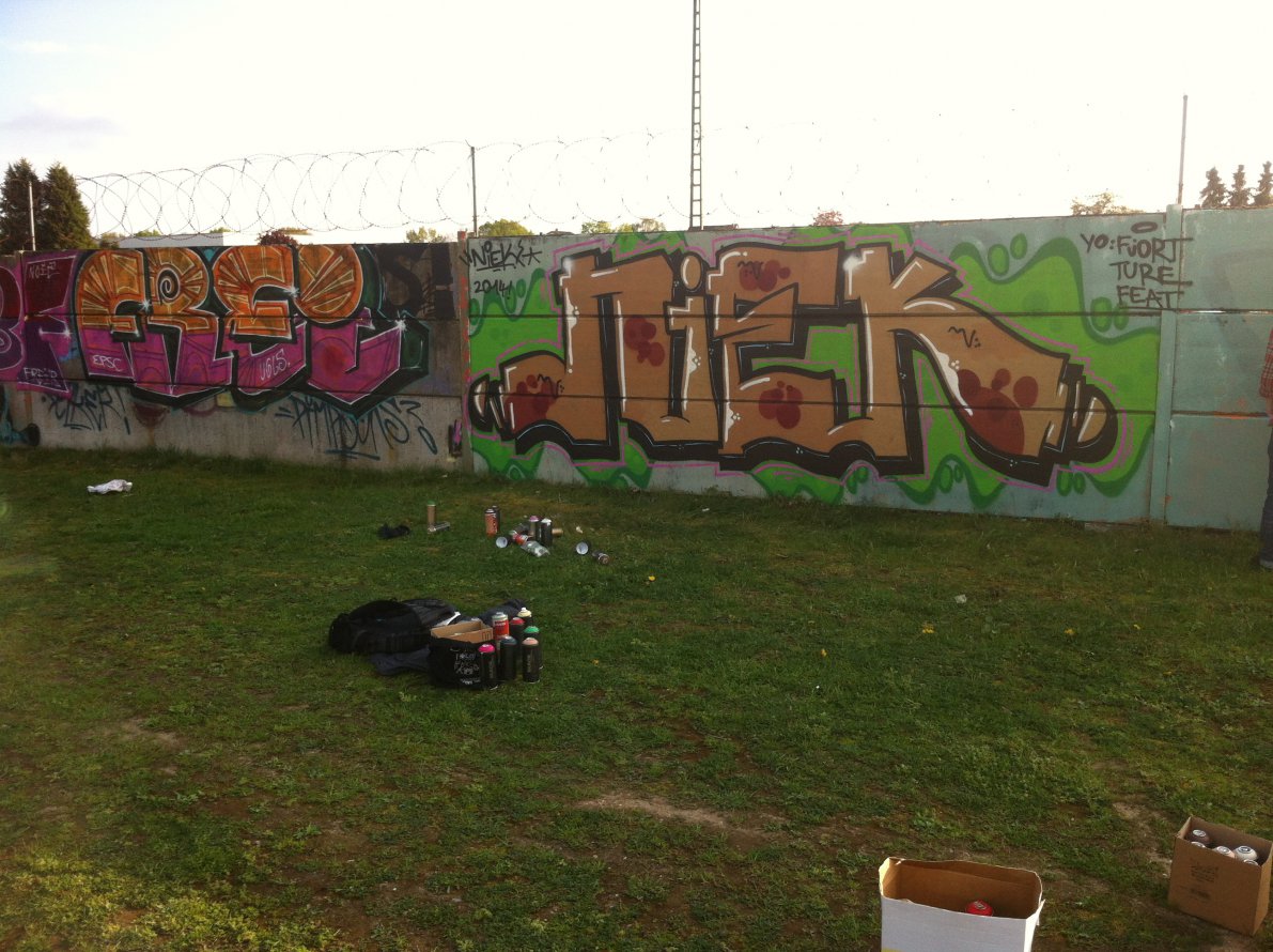 Graffiti Wall - Photo by NiekOne - Niek, Frei, 2014 (2014)