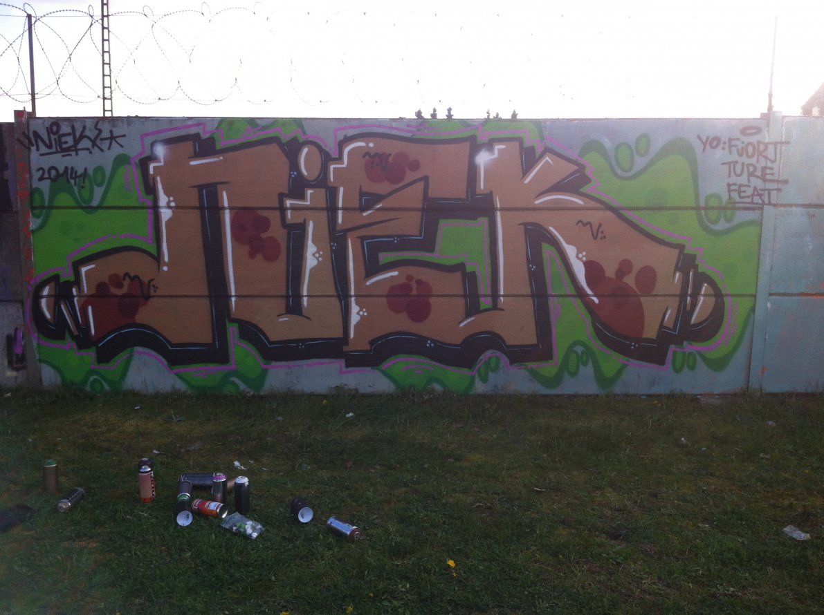 Graffiti Wall - Photo by NiekOne - Niek, 2014, Hall (2014)