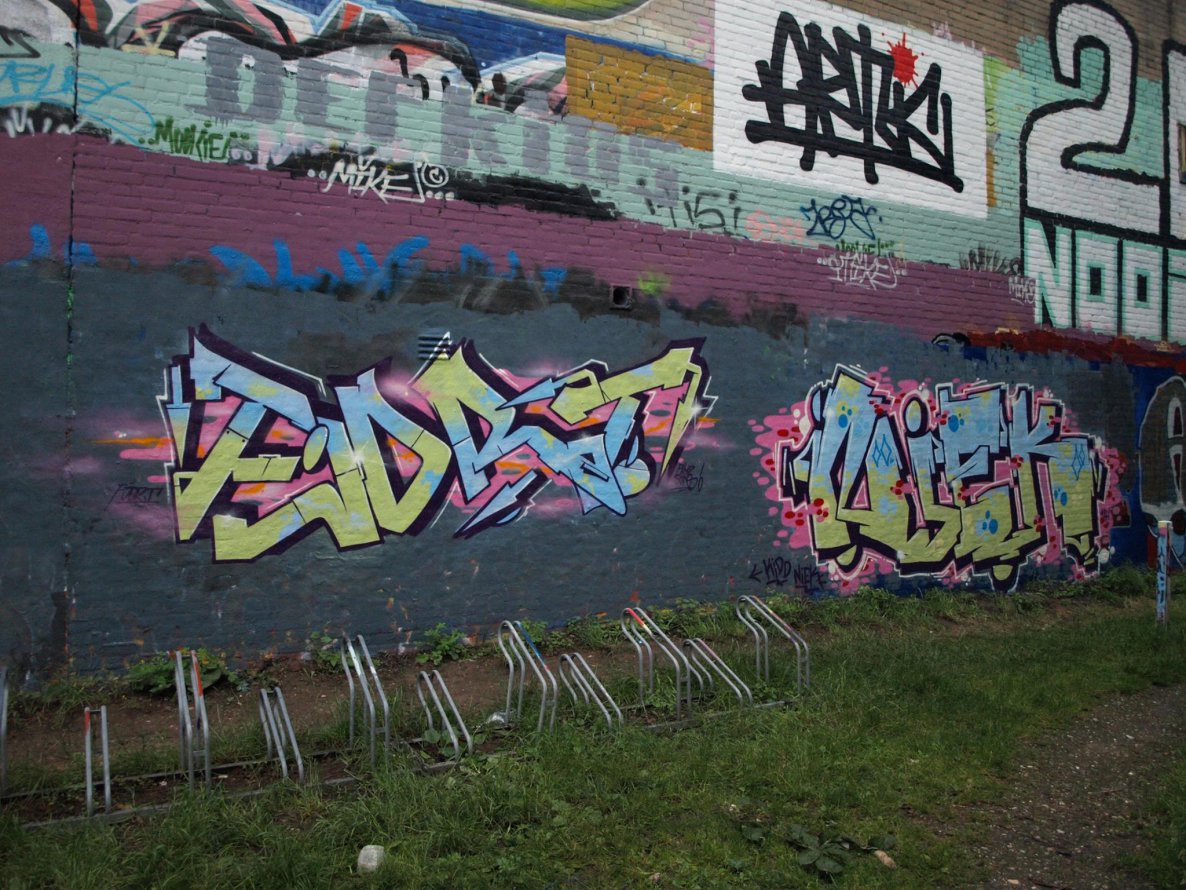 Graffiti Wall - Photo by NiekOne - Fjort, Niek, 2014 (2014)