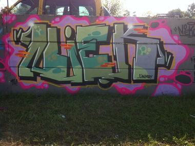 Graffiti Wall - Photo by NiekOne - Niek, 2014, Hall (2014)