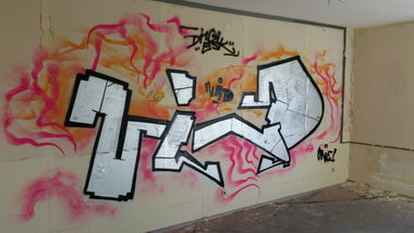 Graffiti Bombing - Photo by NildbliN (2015)