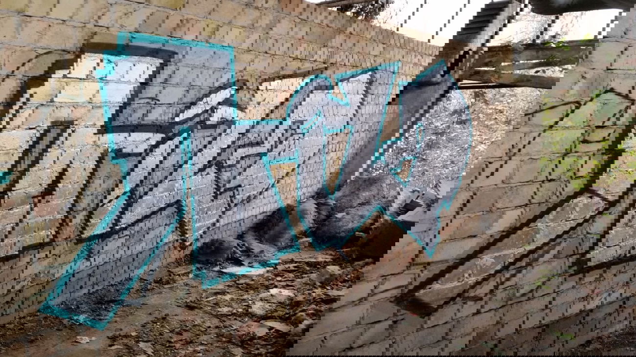 Graffiti Bombing - Photo by NildbliN (2015)