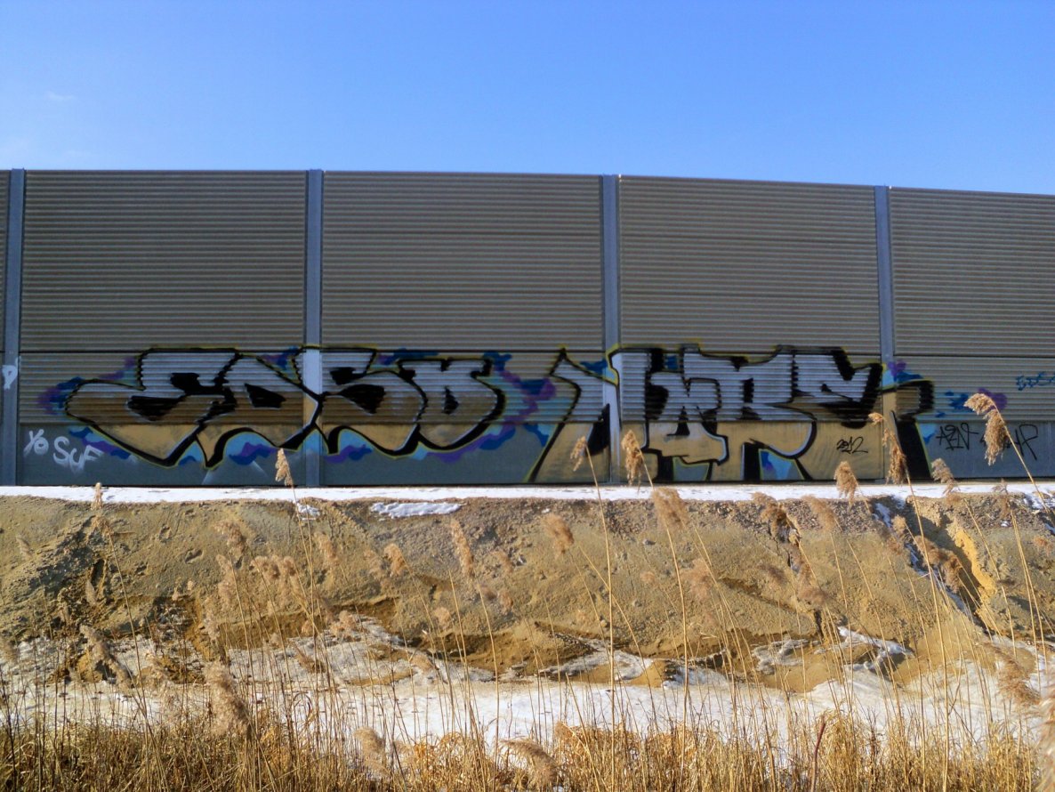 Graffiti Bombing - Photo by Nobel