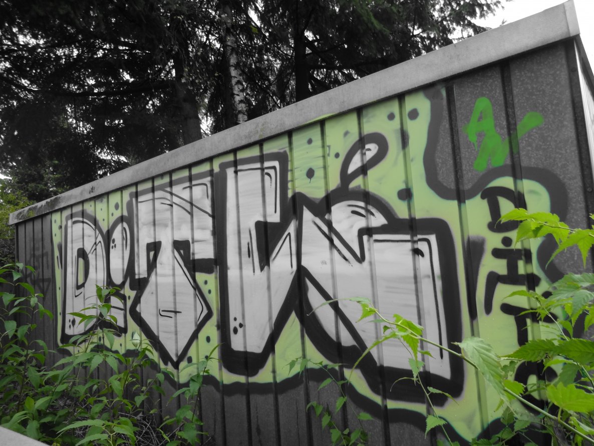 Graffiti Bombing - Photo by NobodyKnows - Dogs (2013)