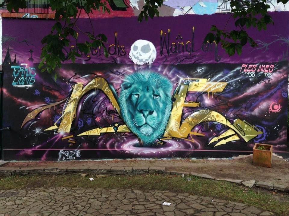 Graffiti Wall - Photo by NoeOnePMZ - noe, ples, pmz