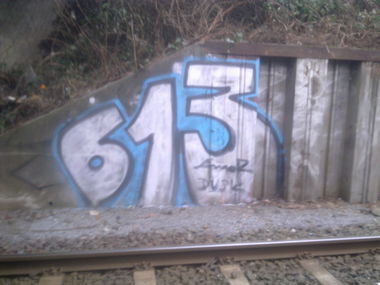 Graffiti Bombing - Photo by Nordpark