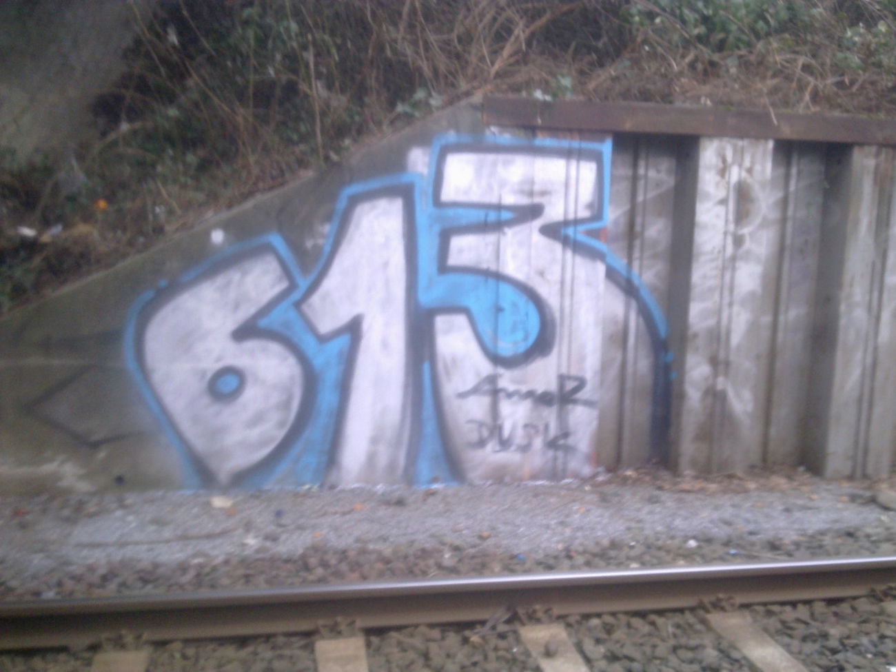 Graffiti Bombing - Photo by Nordpark